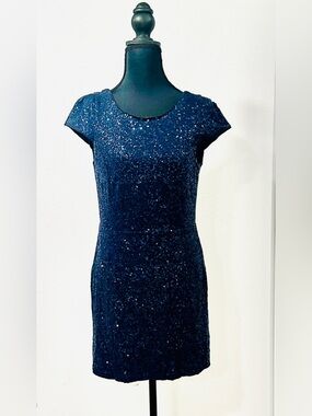 Slate & Willow - Elegant Navy Sequin Cap-Sleeve Dress